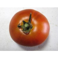 Tomato 'Mule Team' Seeds (Certified Organic)