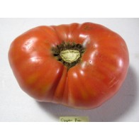Tomato 'Caspian Pink' Seeds (Certified Organic)