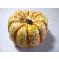 Pumpkin 'Tiger Stripes' Seeds (Certified Organic)