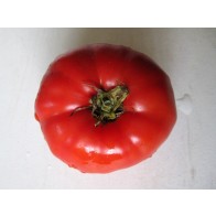 Tomato 'Palo Alto' Seeds (Certified Organic)