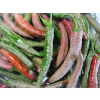 Hot Pepper ‘Rezha Macedonian’ AKA 'Vesena' Seeds (Certified Organic)