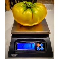 Tomato 'Gold Medal' Seeds (Certified Organic)