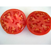 Tomato 'North Queen' AKA 'Severnaya Koroleva' Seeds (Certified Organic)