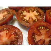 Tomato 'Shokoladnyi' Seeds (Certified Organic)