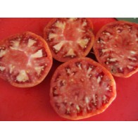 Tomato 'German Giant' Seeds (Certified Organic)