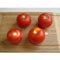 Tomato 'Norduke' Seeds (Certified Organic)