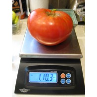 Tomato 'Delicious' Seeds (Certified Organic)