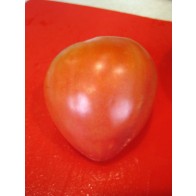 Tomato 'Dobrynya Nikitich' Seeds (Certified Organic)
