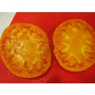 Tomato 'Kentucky Beefsteak' Seeds (Certified Organic)