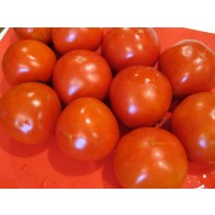 Tomato 'Thessaloniki' Seeds (Certified Organic)
