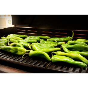 Hot Pepper ‘Hatch Sandia G76’ Seeds (Certified Organic)