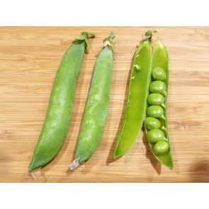 English Pea 'Green Arrow' 