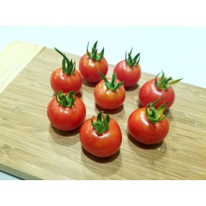 Tomato 'Resi Pink' Seeds (Certified Organic)