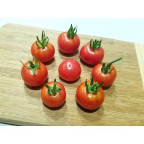 Tomato 'Resi Pink' 
