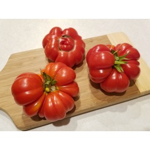 Tomato 'Costoluto Genovese'