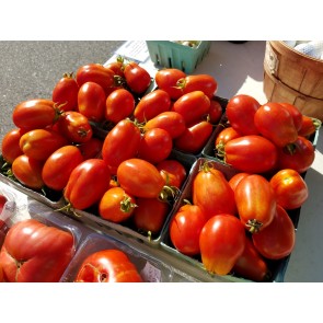 Tomato 'Heidi' Seeds (Certified Organic)