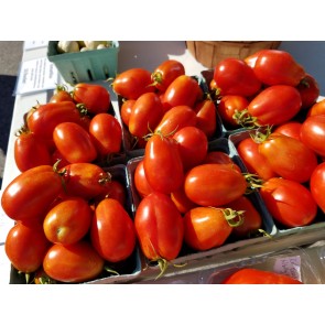 Tomato 'Heidi' 