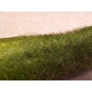 Mao Qua AKA Fuzzy Gourd Seeds (Certified Organic)