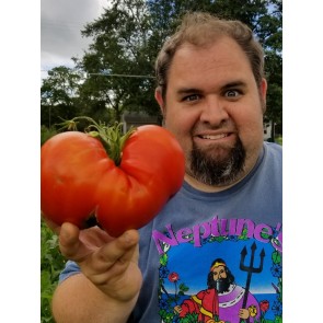 Tomato 'Watermelon'