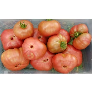 Tomato 'Chocolate Stripes Cross' Seeds (Certified Organic)