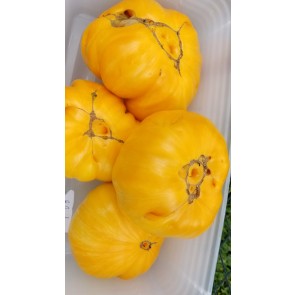 Tomato 'Orange Jazz' Seeds (Certified Organic)