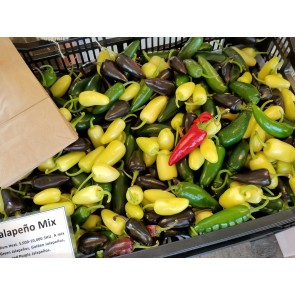 Hot Pepper 'Jalapeno Mix'