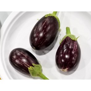 Eggplant ‘Mumbai’ Seeds (Certified Organic)