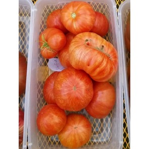 Tomato 'Solar Flare' Seeds (Certified Organic)