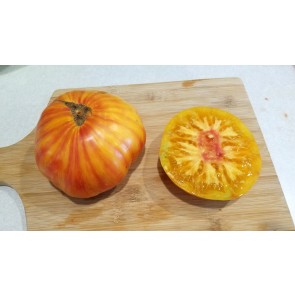 Tomato 'Copia' 