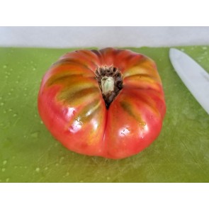 Tomato 'Purple Dog Creek' 
