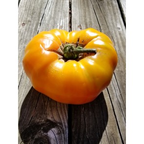 Tomato 'Striped German' Seeds (Certified Organic)