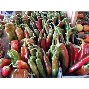 Sweet Pepper 'Corno di Toro Rosso’ 