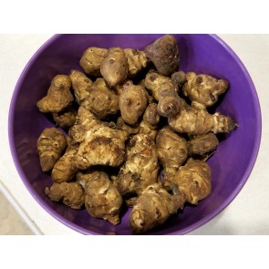 Jerusalem Artichoke AKA Sunchoke Tubers (Certified Organic) 