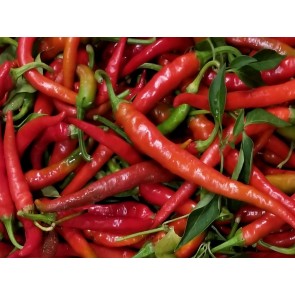 Crushed Cayenne Peppers Harvested on our Farm, Certified Organic