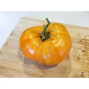 Tomato 'Orange Jazz' 