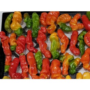 Hot Pepper ‘Red Peter’ Seeds (Certified Organic)