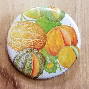 Cantaloupe Pinback Button