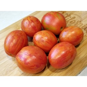 Tomato 'Russian Queen' Seeds (Certified Organic)
