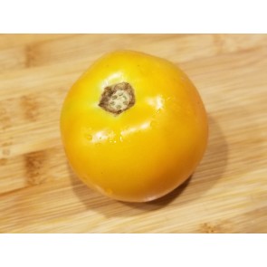 Tomato 'Orange King'