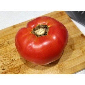 Tomato 'Dixie Red F2' Seeds (Certified Organic)