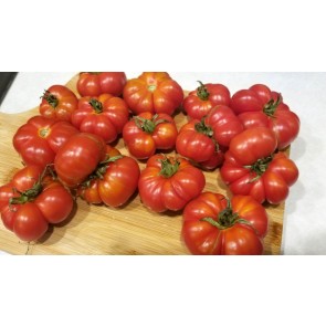 Tomato 'Ceylon'