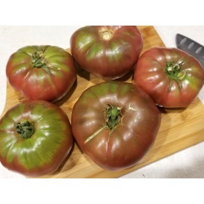 Tomato 'Black Elephant' 