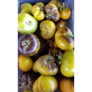 Tomato 'Xanadu Green Goddess' Seeds (Certified Organic)