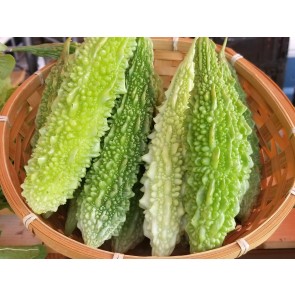 Bitter Melon 'Mix' Seeds (Certified Organic)