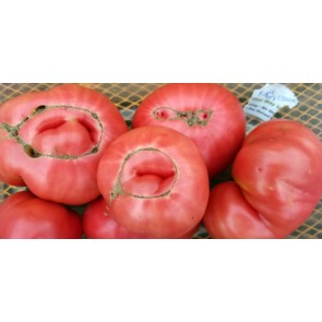 Tomato 'Purple Dog Creek' Seeds (Certified Organic)