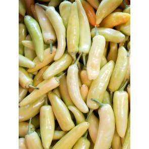 Banana Pepper 'Sweet Banana' Seeds (Certified Organic)