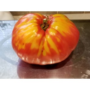 Tomato 'Uncle Johnny's Giant' Seeds (Certified Organic)