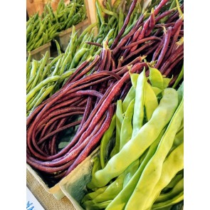 Pole Yard Long Bean 'Chinese Red Noodle' Seeds (Certified Organic)