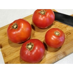 Tomato 'Ruth's Perfect'