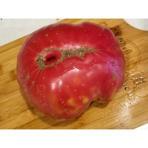 Tomato 'Church' Seeds (Certified Organic)